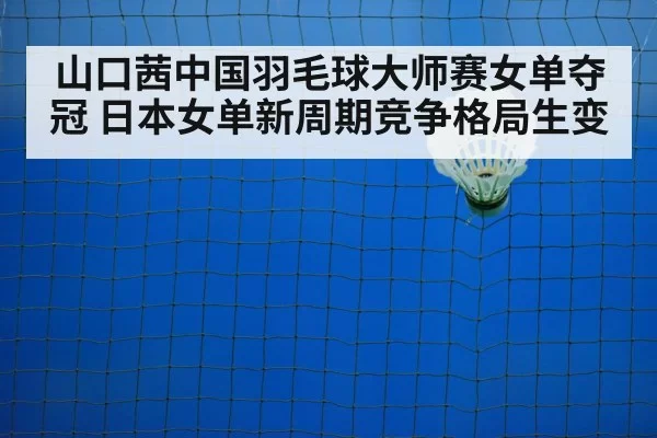 badminton net play
