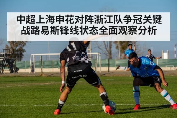 中超上海申花对阵浙江队争冠关键战路易斯锋线状态全面观察分析
